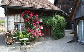 Idyllisches Wöschhüsli